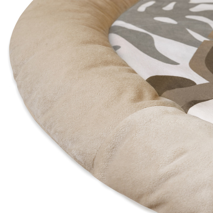 MoMi LUANI mata edukacyjna