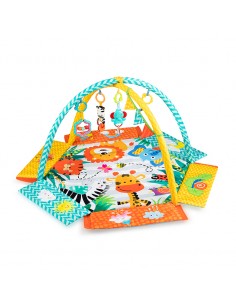MoMi MULTI 2