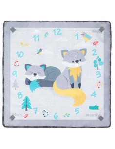 Mata edukacyjna MoMI LAMMIS 4w1 2